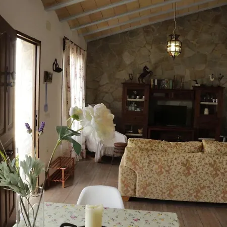Holiday home Mirlo Conil De La Frontera